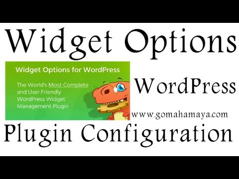 Widget Options WordPress Plugin Setting 2018