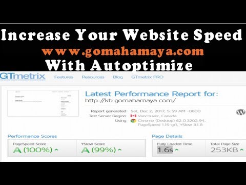 Autoptimize Settings WordPress Plugins Tutorial | Increase WordPress Website Speed