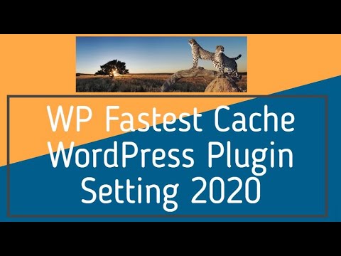 WP Fastest Cache WordPress Plugin Setting 2020