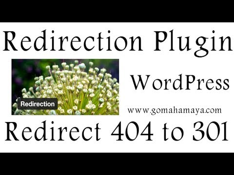 Redirection WordPress Plugin | Redirect visitor from 404 to 301