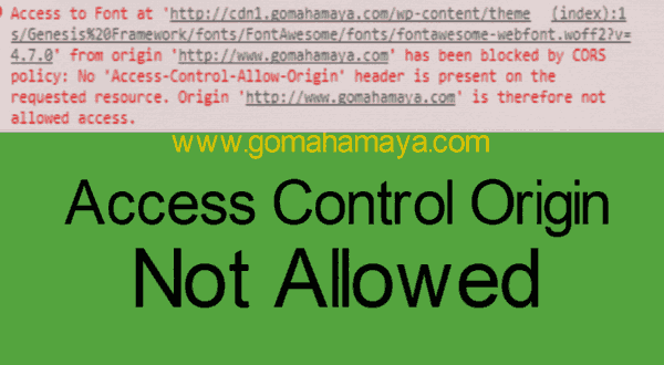 access to font at origin has been blocked by CORS pOLICY no access control allow origin