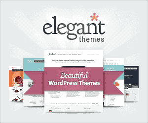 Elegant themes banner