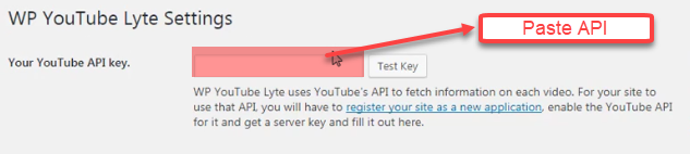 WP YouTube Lyte Settings_API