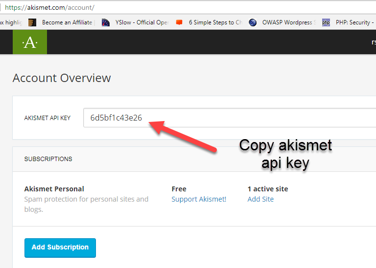 Akismet api key setting