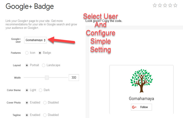Google+ badget developer page setting
