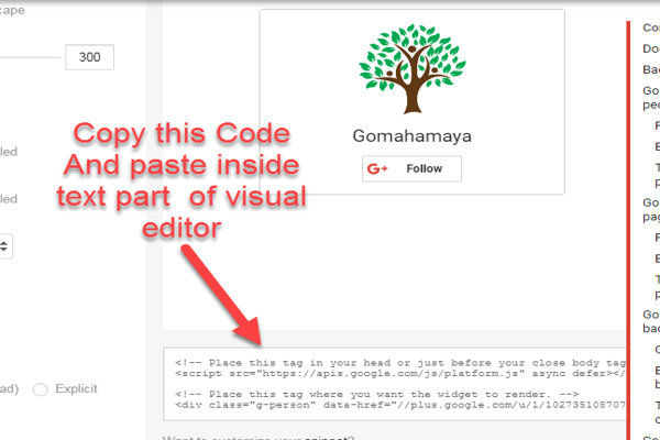 Google+ badget developers console code