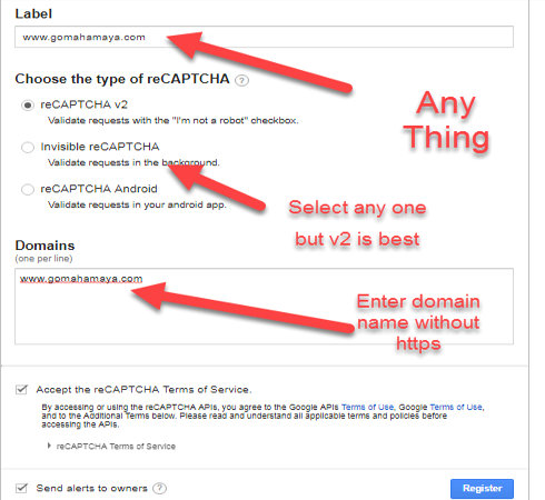 Google recaptcha page form setting