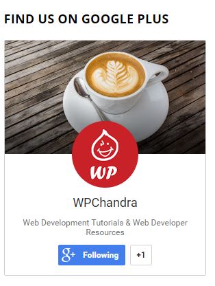 WS Google Plus Badge Widget_Screenshot