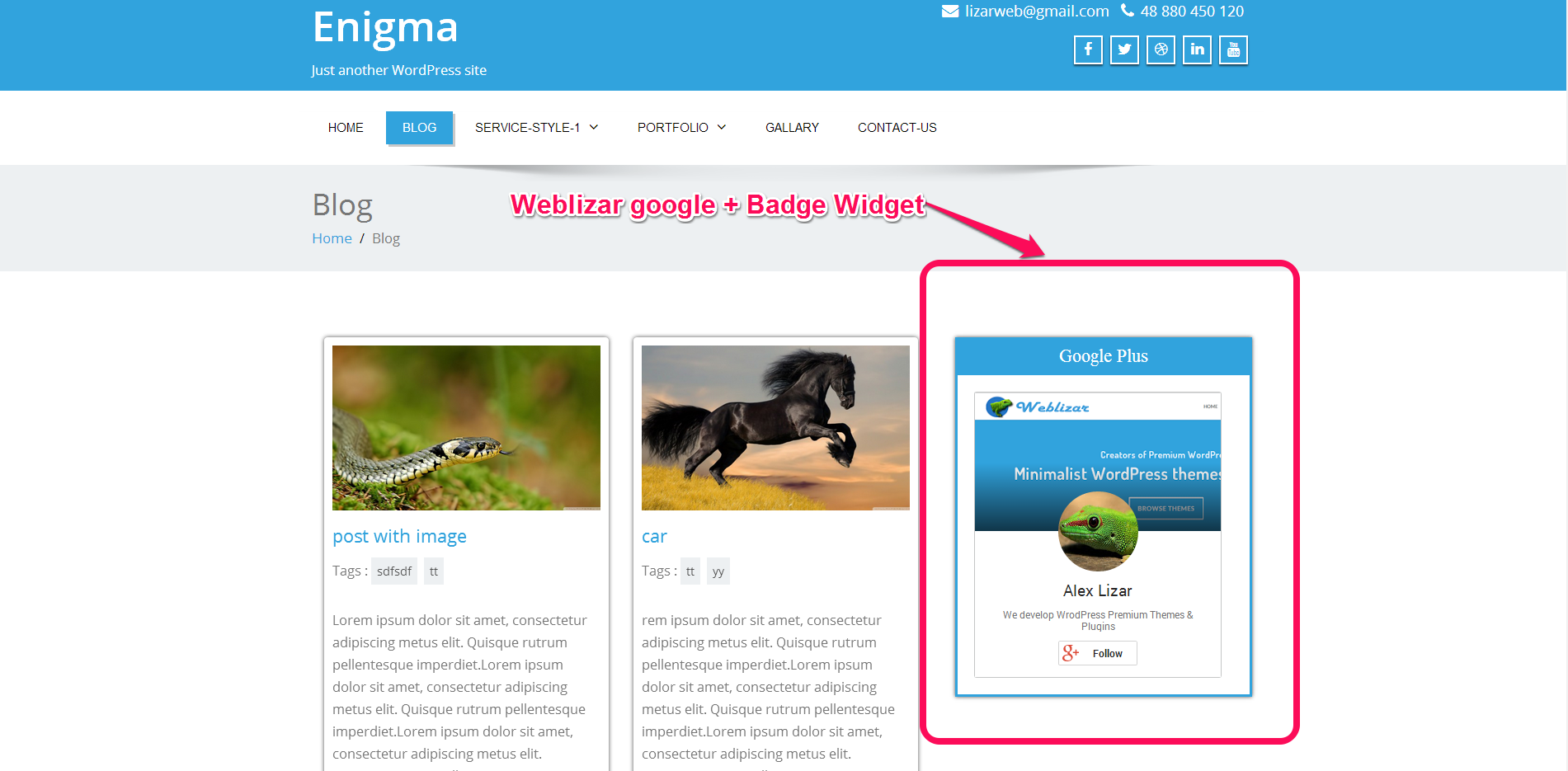 Weblizar Google Plus Badge Widget_Screenshot
