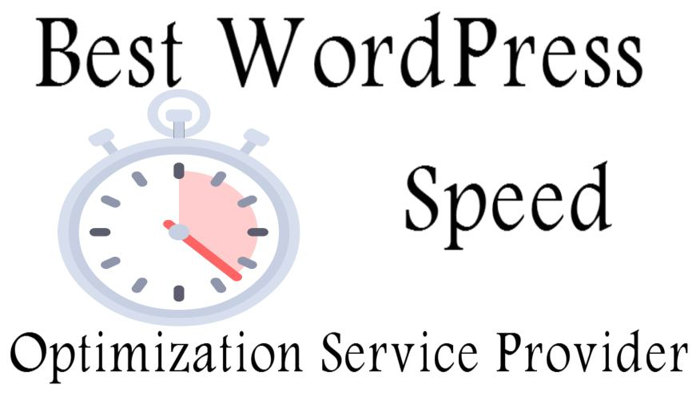 Best WordPress Speed Optimization Service Provider