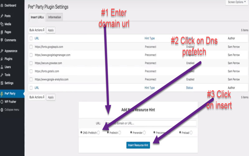 Implement DNS Prefetching in WordPress