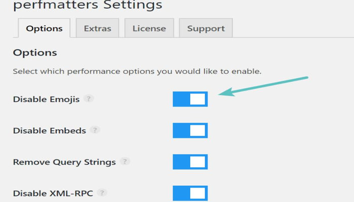 perfmatters plugin setting to disable emojis