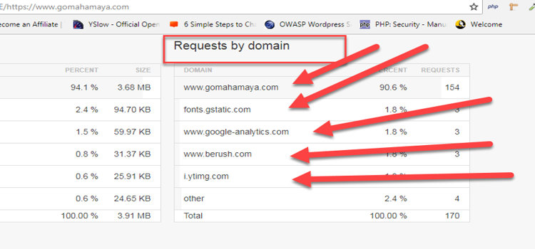 prefetch dns requested by domain finding out process