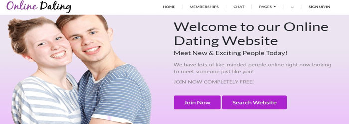 Best wordpress theme for dating website