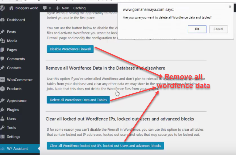 WF Assistant _Remove data