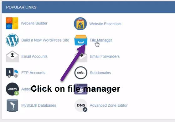 click on file manager in cpanel