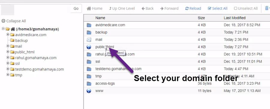 select your domain folder in cpanel