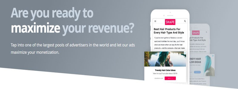 Are you ready to maximize your revenue media net