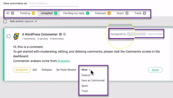 Thrive themes comment Plugin moderation review