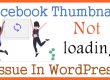 Facebook Thumbnail Not loading Issue In WordPress