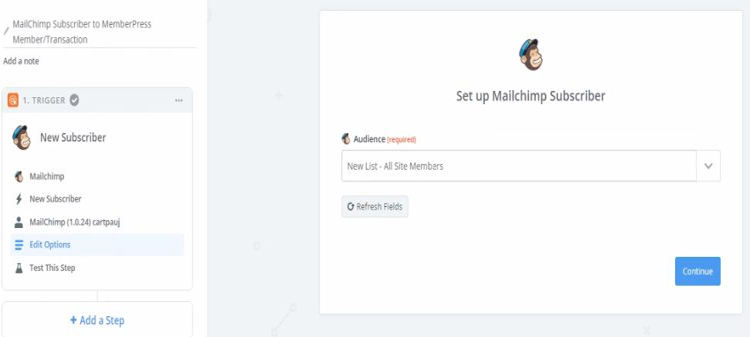 Set up mailchimp subcriber with ziper