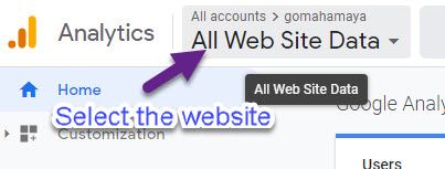 select the website in google anlaytics