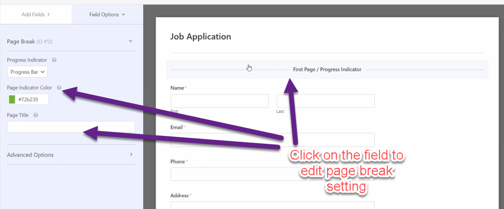 Click on the field to edit page break setting