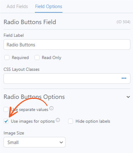 Add Images To Polls In WordPress radio buttons