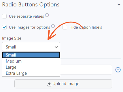 choose image size drop down