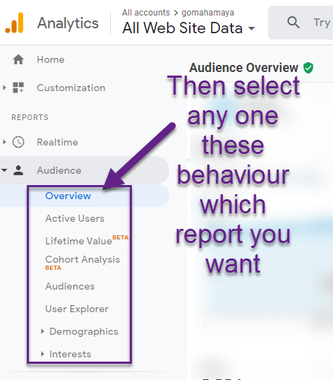 select any one these behavior which analytic report you want