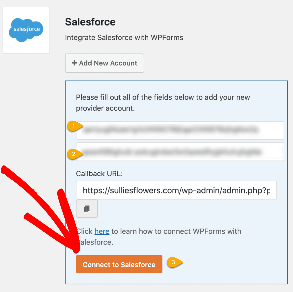 Connect WPForms to Salesforce