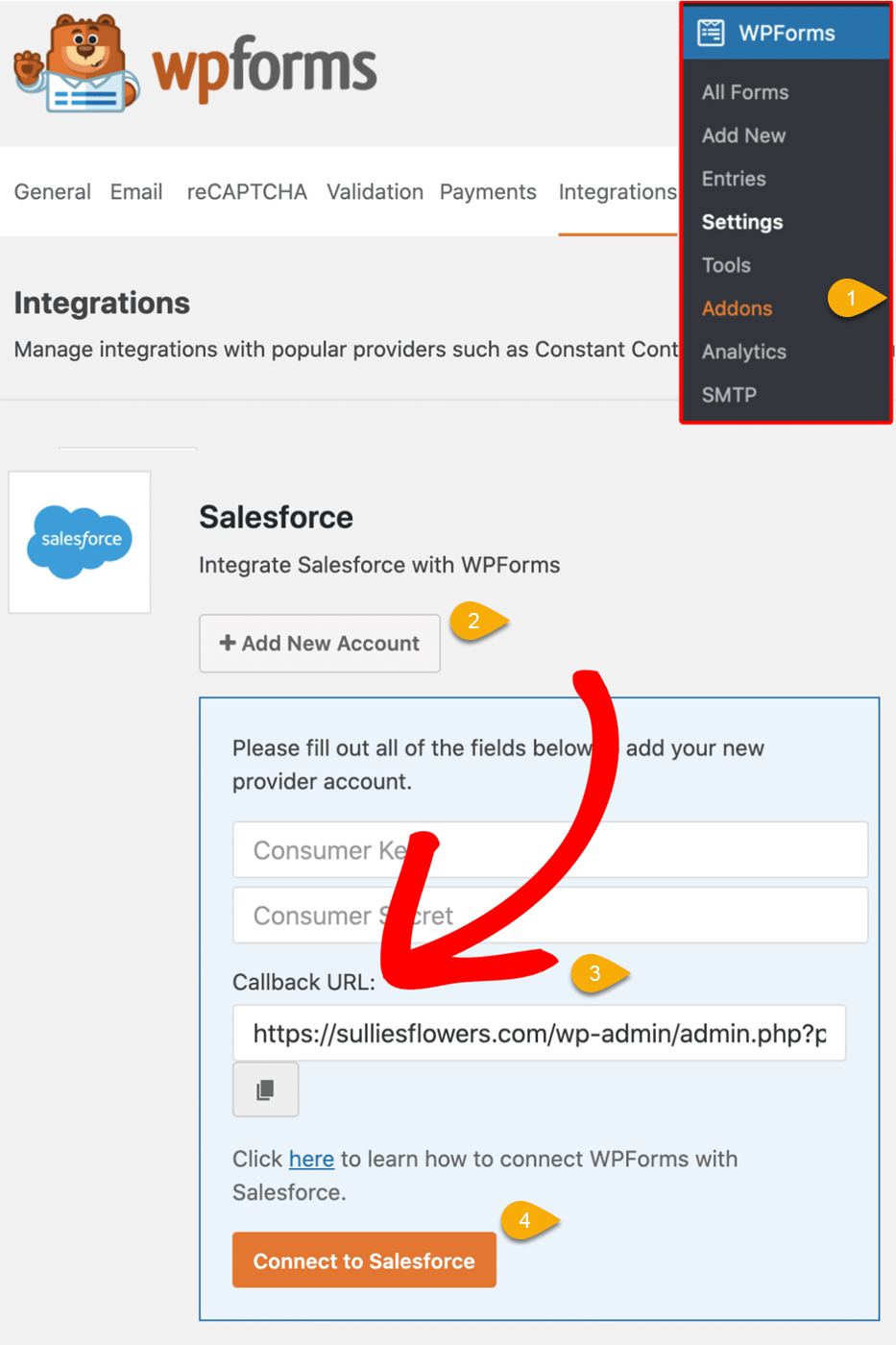 Salesforce Integration in WPForms setting