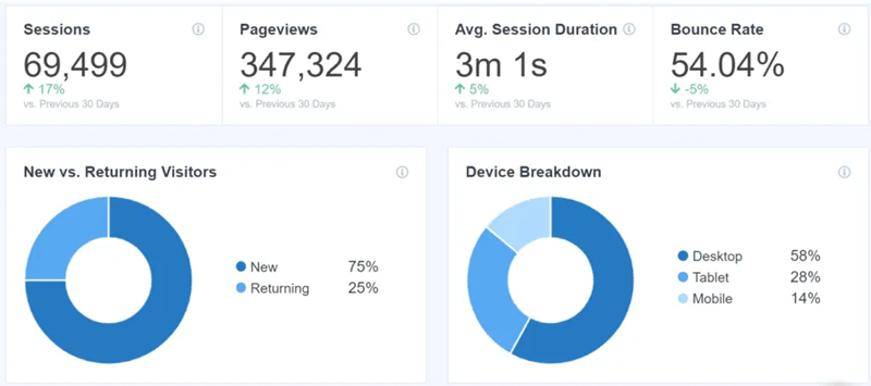 monsterinsights overview report