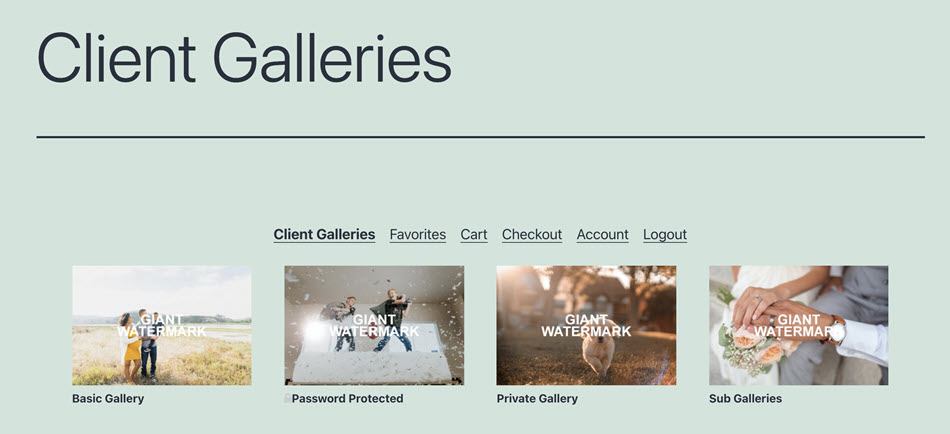 Client Galleries Overview