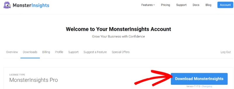 Download MonsterInsights Pro plugin