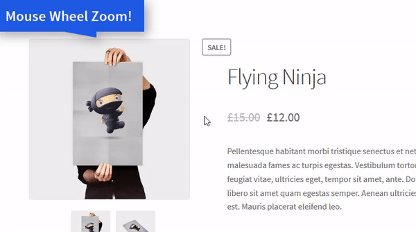 Mouse Wheel Zoom Image Magnify on Hover & Click Product ShowCase
