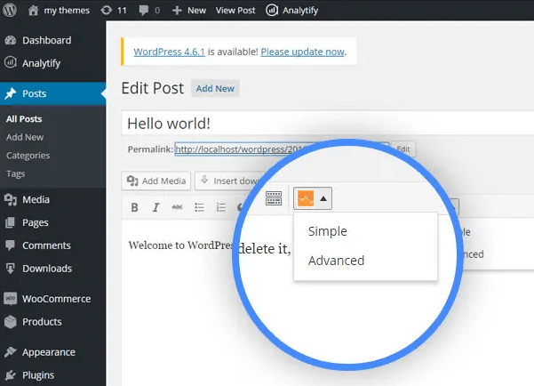 analytify simple and advanced shortcodes