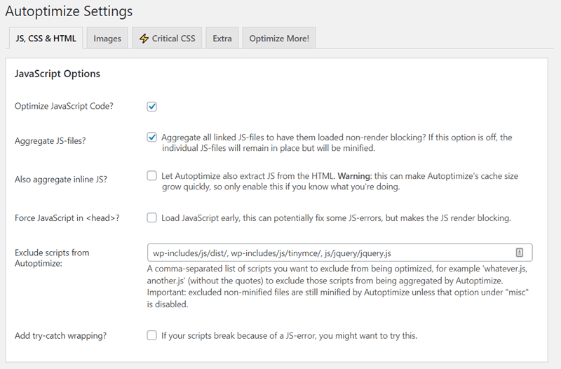 autoptimize settings JS CSS and HTML JavaScript Options