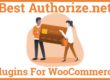 Best Authorize.net Plugins For WooCommerce