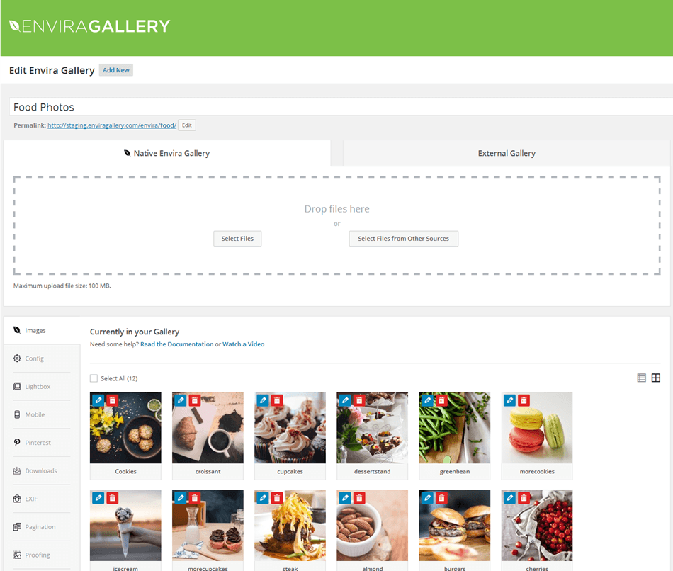 Envira gallery lite post type overview screen wordpress plugin