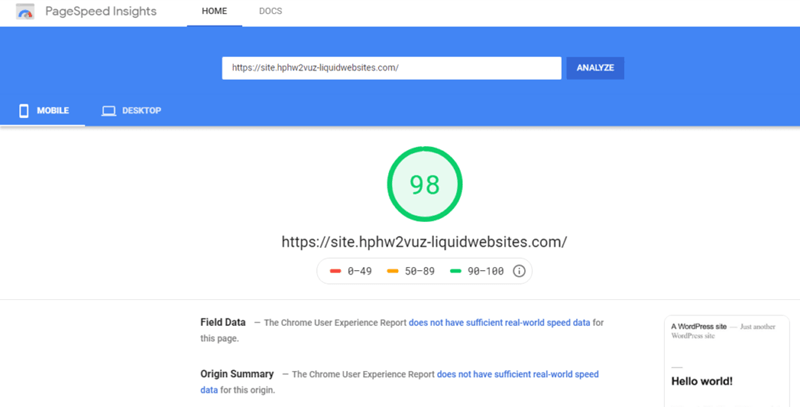 Google Page Speed Insights Liquid Web Speed Test