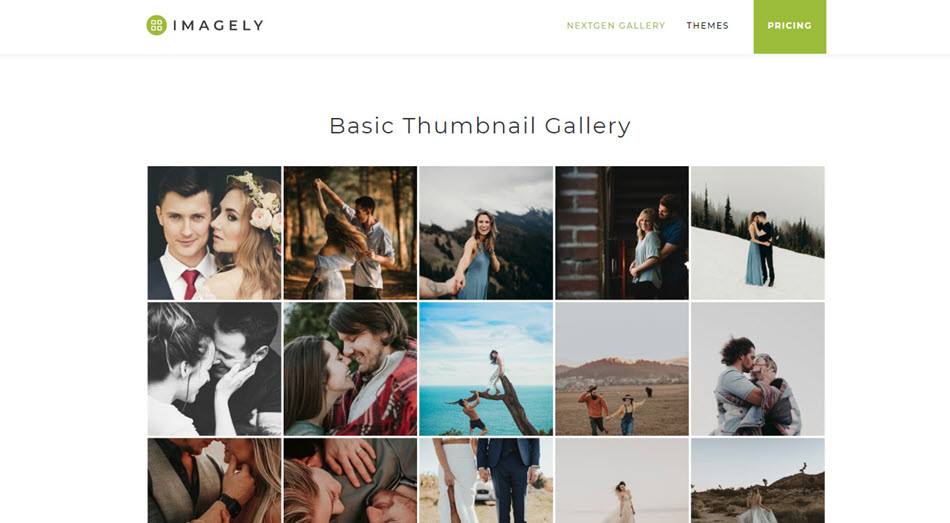 Imagely nextgen gallery thumbnail gallery wordpress plugin