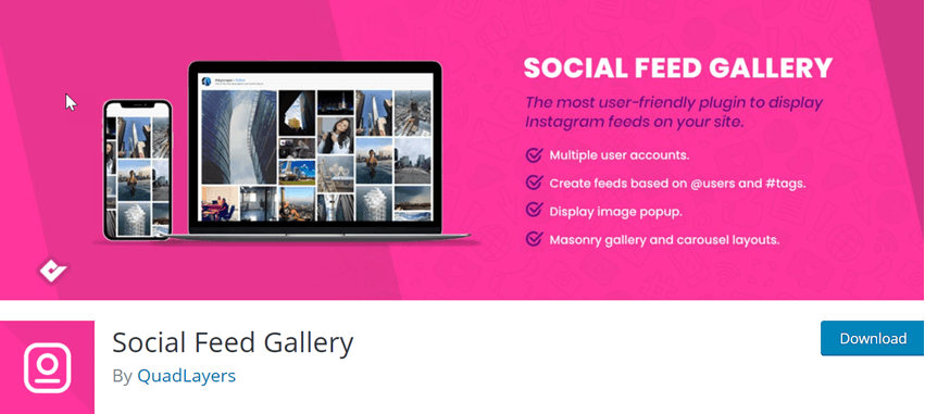 Social Feed Gallery