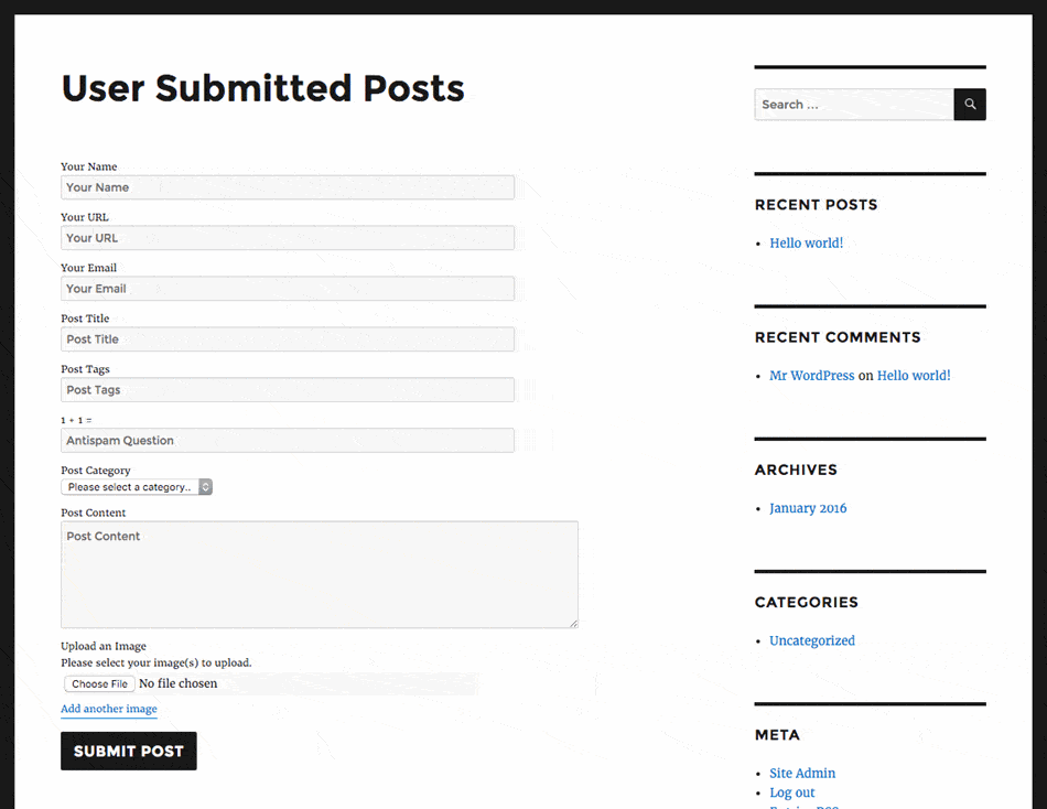 User submitted posts with all fields enabled