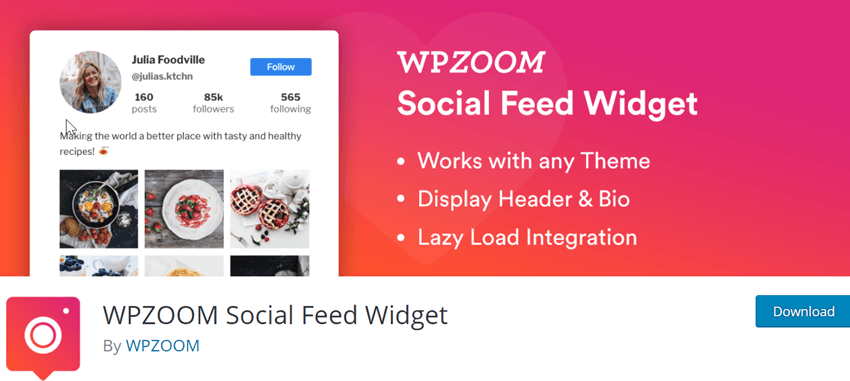 WPZOOM Social Feed Widget
