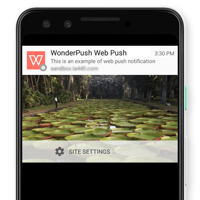 Wonderpush web push notification plugin demo