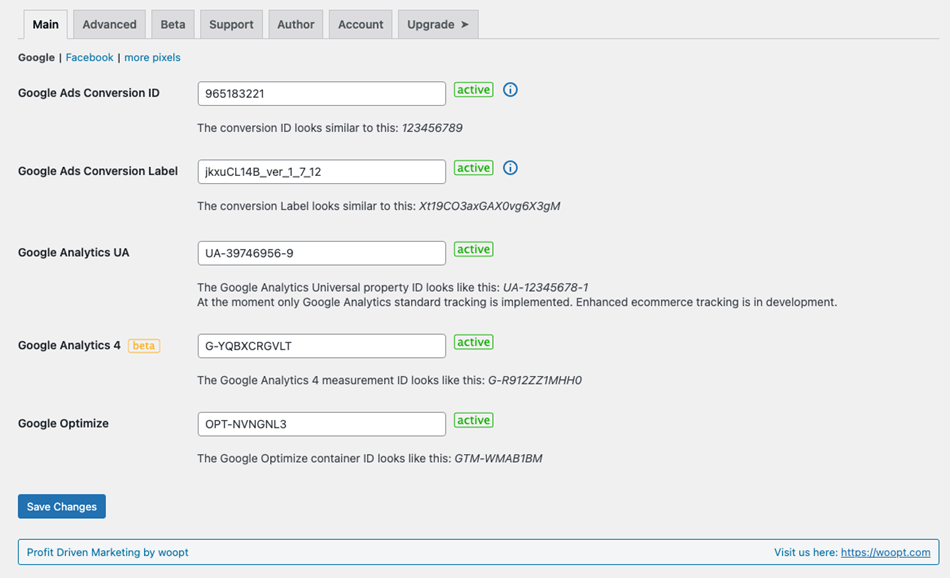 WooCommerce Google adwords conversion tracking tag settings page