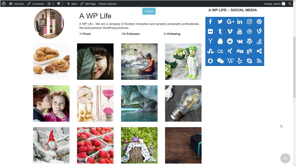 stylish profile gallery wordpress gallery custom profile insta style gallery preview