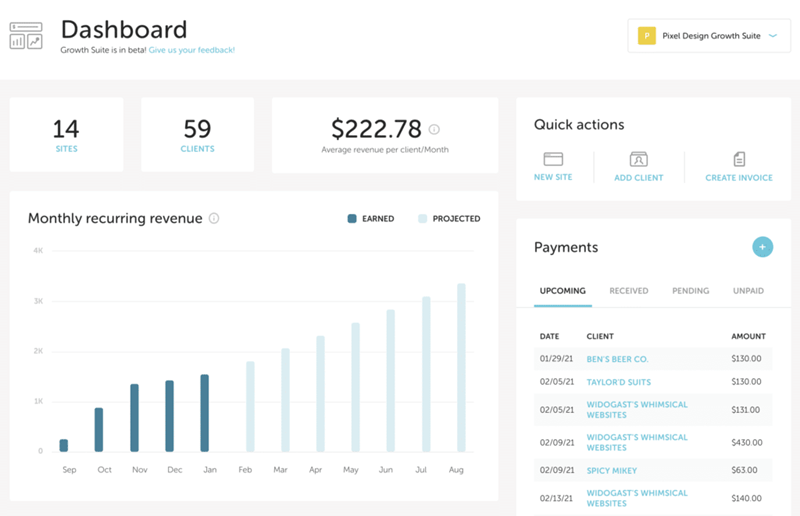 Flyzee Growth Suite growth dashboard