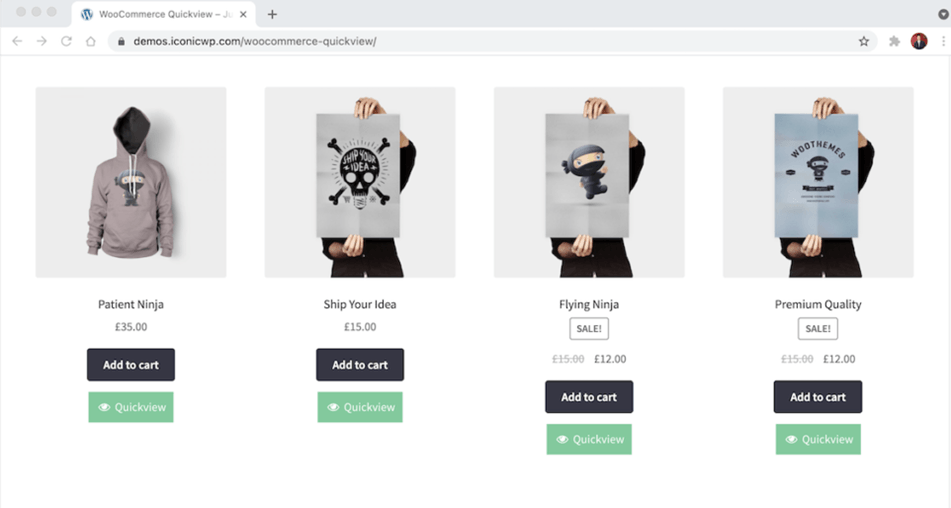Iconic woocommerce quick view Demo